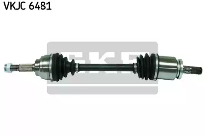 Вал SKF VKJC 6481